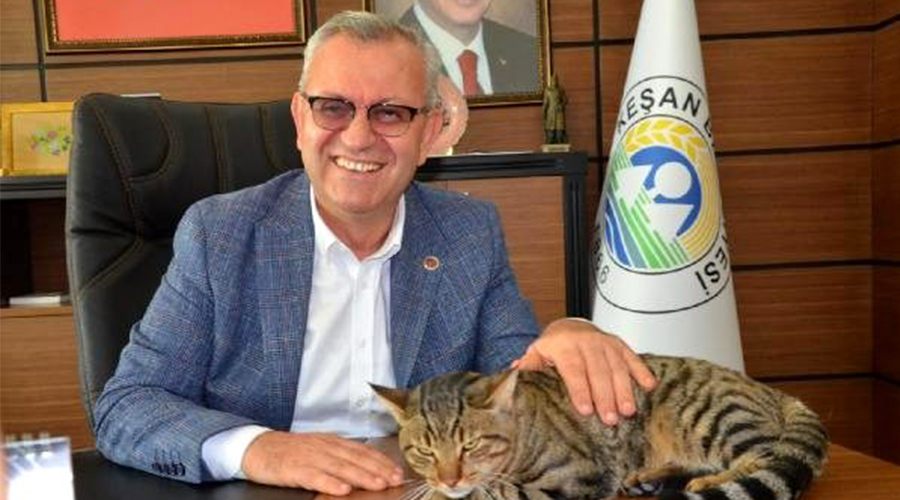 Başkan Helvacıoğlu, sahiplendiği kediye isim arıyor 