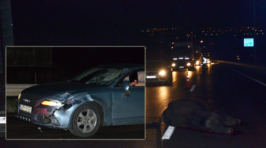 Otobanda trafik kazası: 1 manda telef oldu!