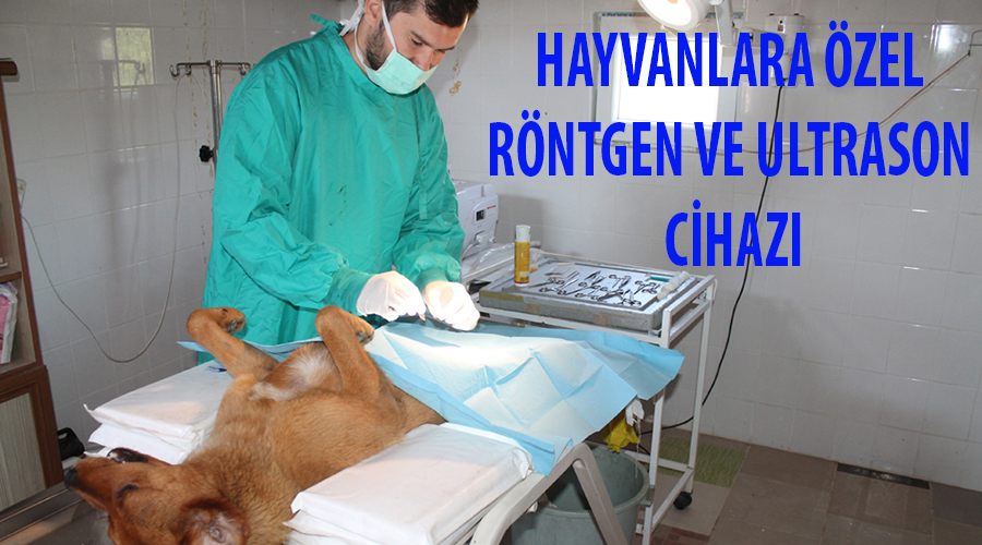Hayvanlar için rontgen ve ultrason cihazı alındı 