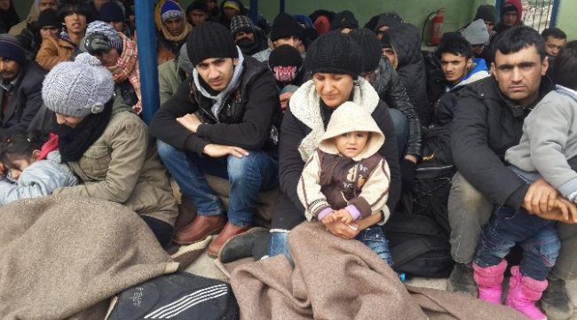71 Suriyeli göçmen daha yakalandı