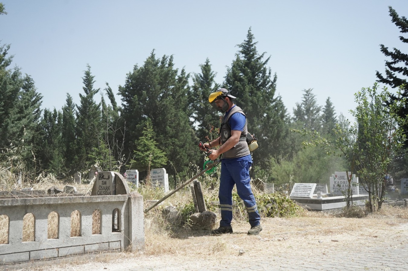 100 günde 80 bin çiçek ekildi