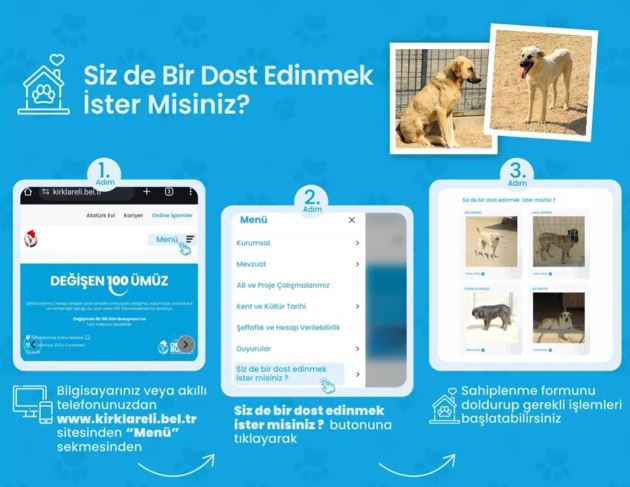 Belediyeden can dostları için anlamlı proje