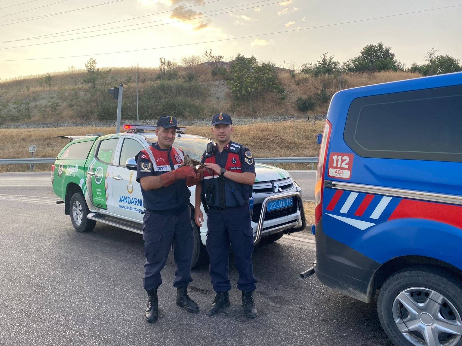 Uzunköprü’de yaralı şahin bulundu