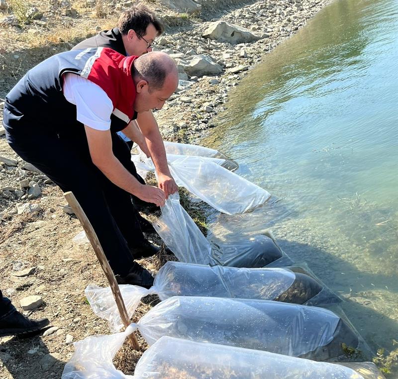 Su kaynakları balıklandırılıyor