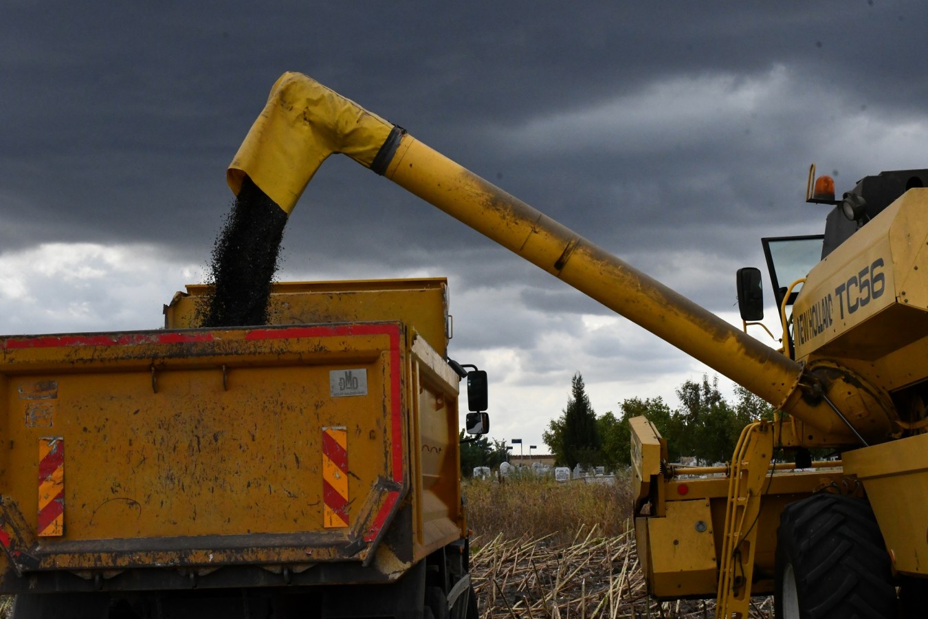 42 ton rekolte elde edildi