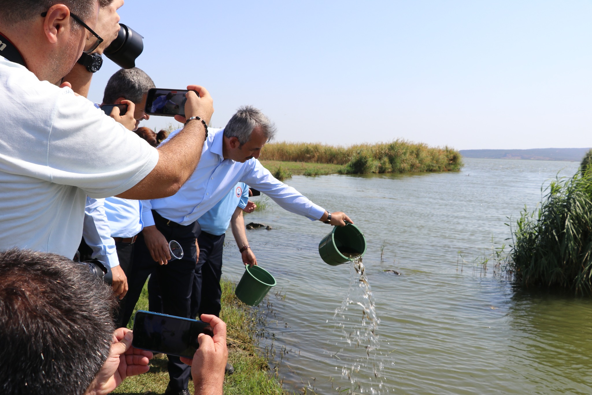 10 milyon sazan balığı yavrusu üretildi