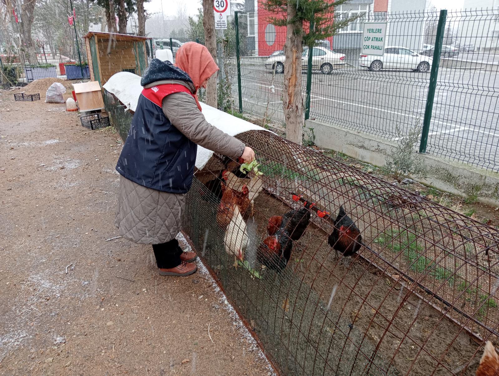 Kırklareli’nde çocuklar doğayla iç içe eğitim alıyor