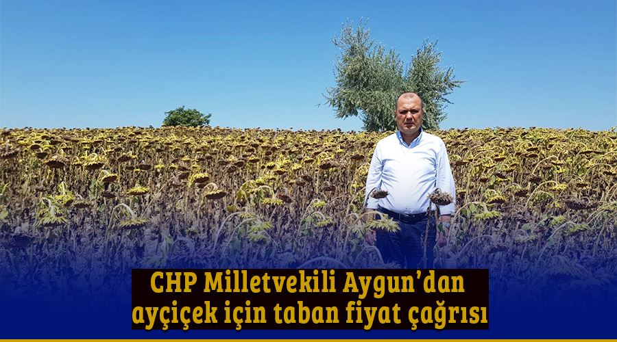 CHP Milletvekili Aygun’dan ayçiçek için taban fiyat çağrısı