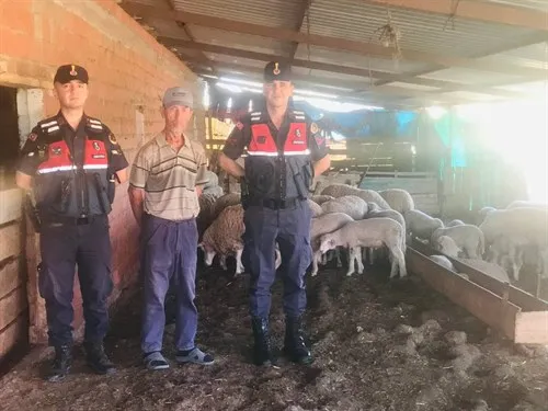 JASAT dedektifleri, kayıp hayvanları drone ile buldu