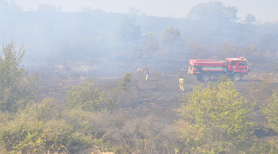 Orman yangınına havadan ve karadan müdahale edildi