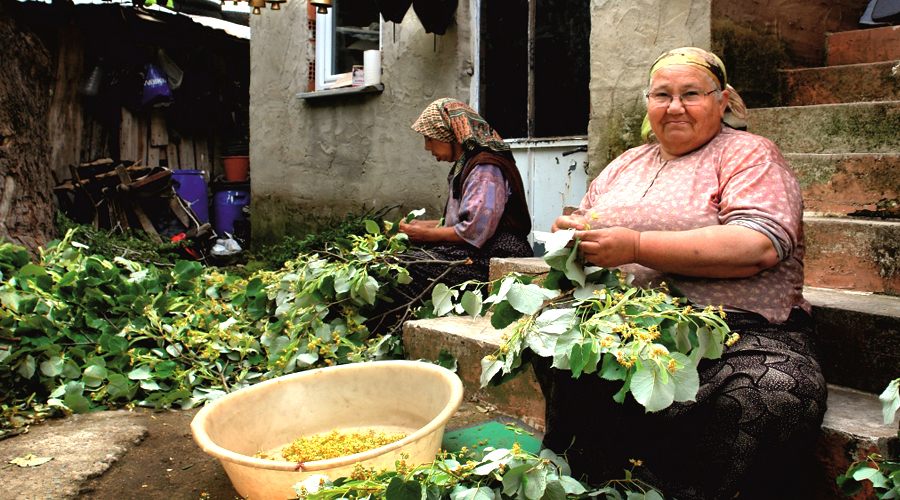 "Kadın çiftçilerin görünürlüğünü arttırmayı amaçlıyoruz"