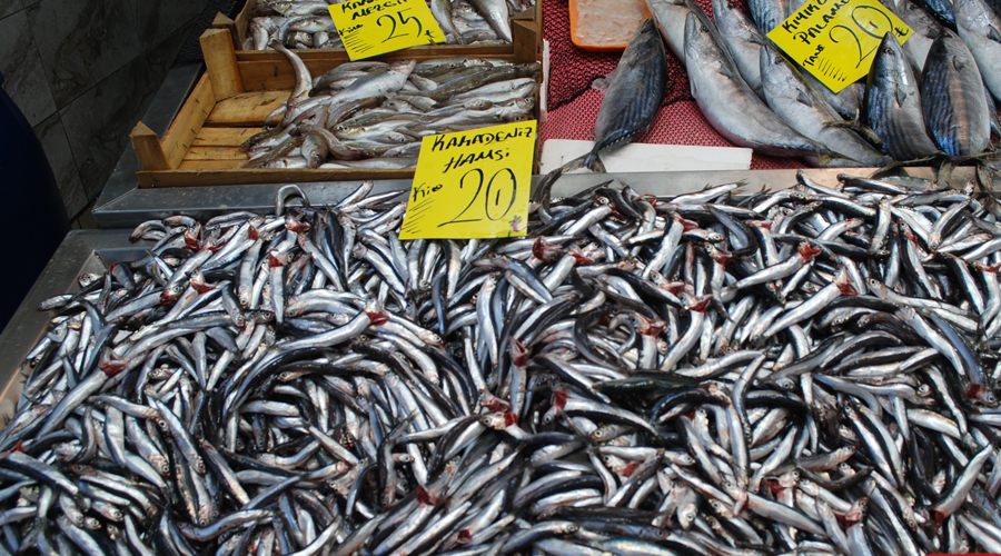 Soğuk hava, balık fiyatlarını da yükseltti